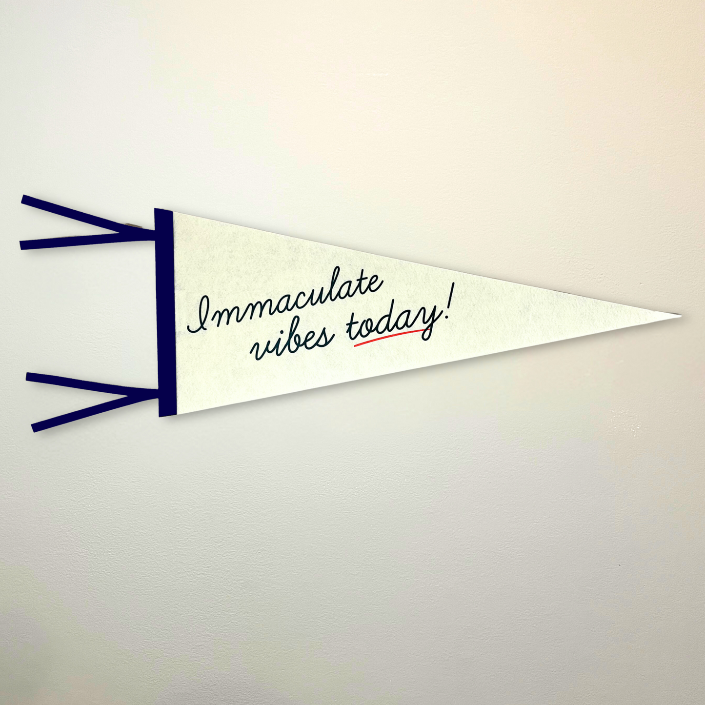 Immaculate Vibes Today Pennant